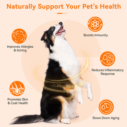 Puainta Krill & Salmon Oil for Dogs – Omega-3 Support for Skin, Coat & Vitality