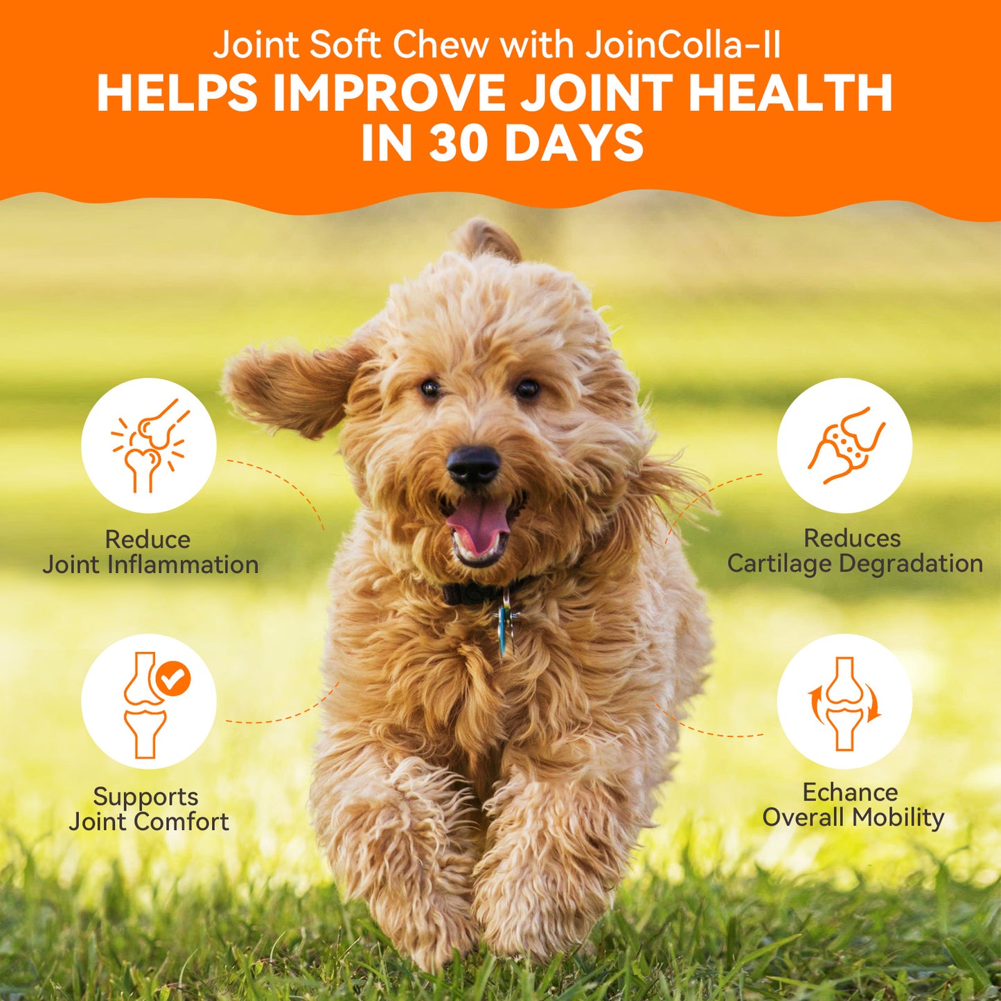 Puainta® Hip Joint Soft Chew for Dogs Supports Mobility