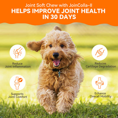 Puainta® Hip Joint Soft Chew for Dogs Supports Mobility