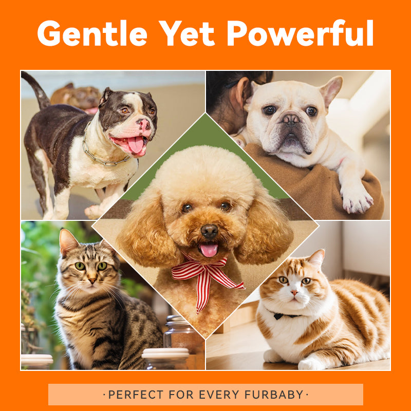 Puainta Banov Shampoo for Dogs & Cats – Gentle Relief for Sensitive & Itchy Skin