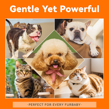 Puainta Banov Shampoo for Dogs & Cats – Gentle Relief for Sensitive & Itchy Skin