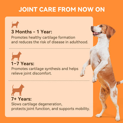 Puainta® Hip Joint Soft Chew for Dogs Supports Mobility