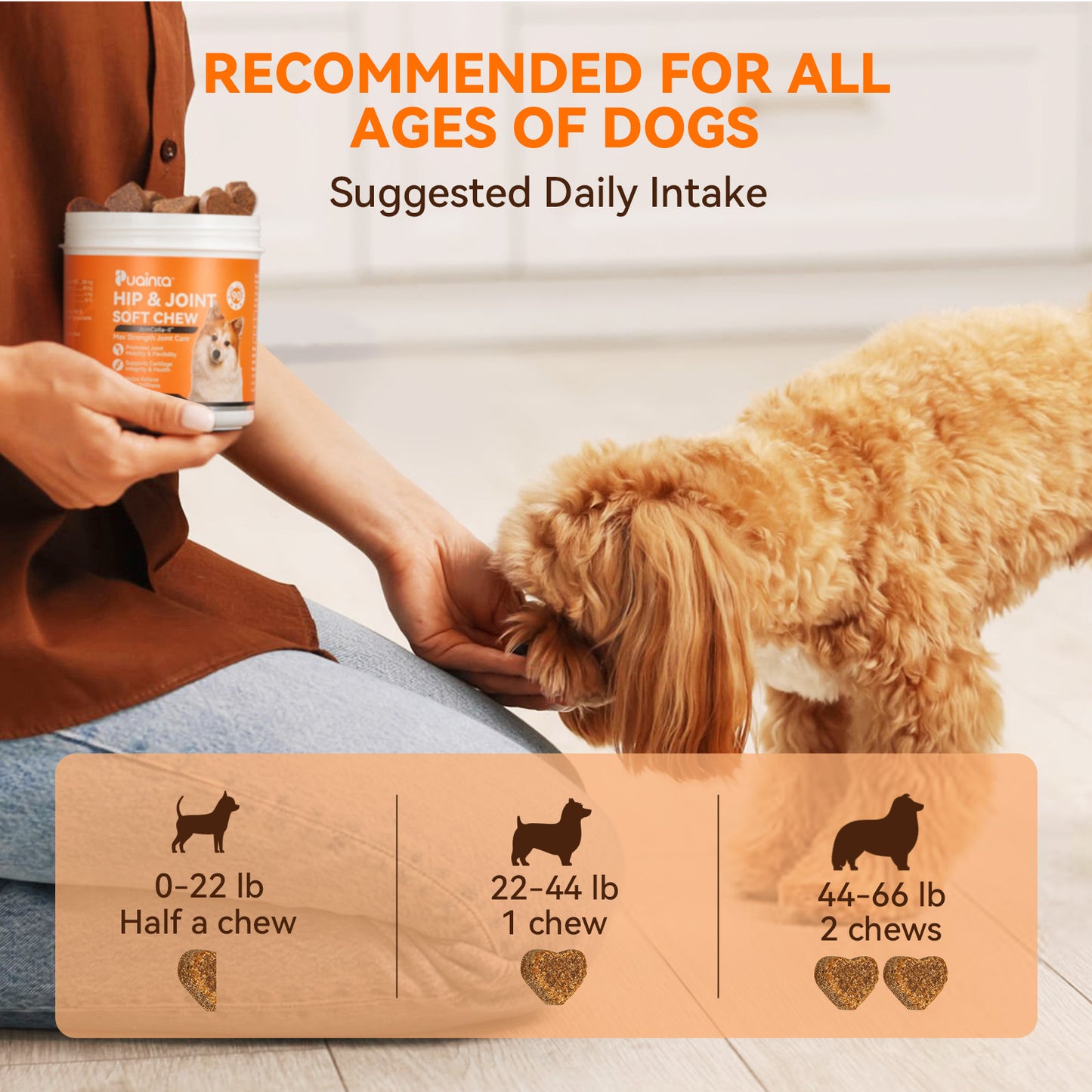 Puainta® Hip Joint Soft Chew for Dogs Supports Mobility