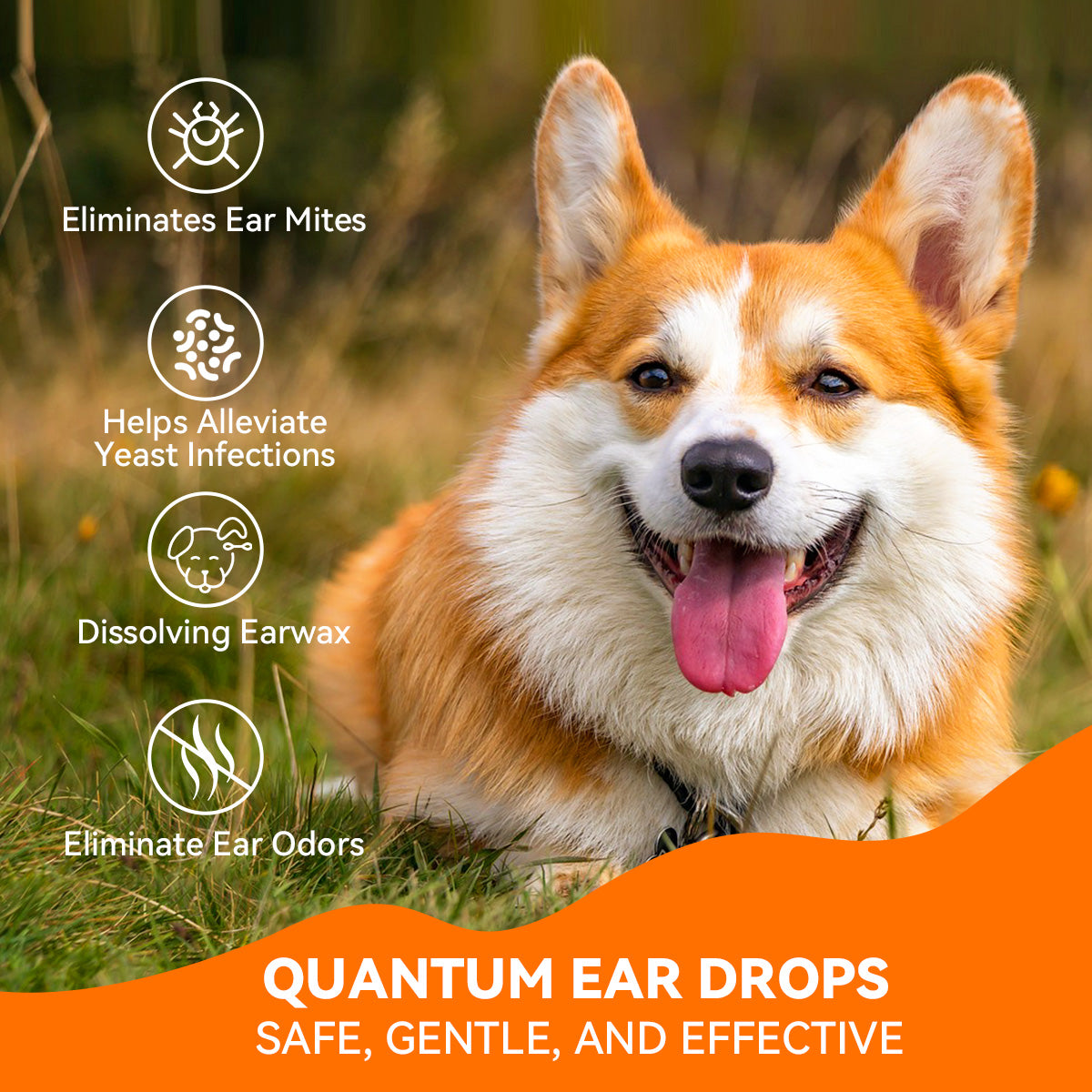 Puainta Quantum Silver Ear Drops for Dogs & Cats – Gentle Ear Care Solution