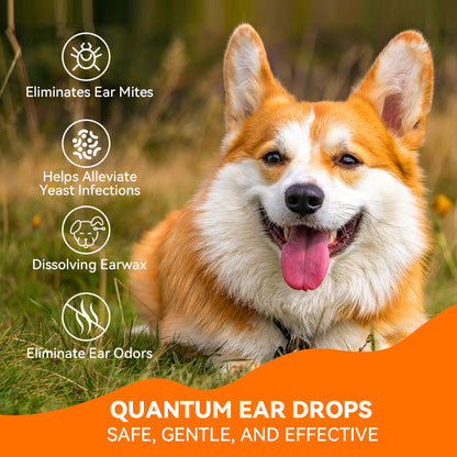 Puainta Quantum Silver Ear Drops for Dogs & Cats – Gentle Ear Care Solution