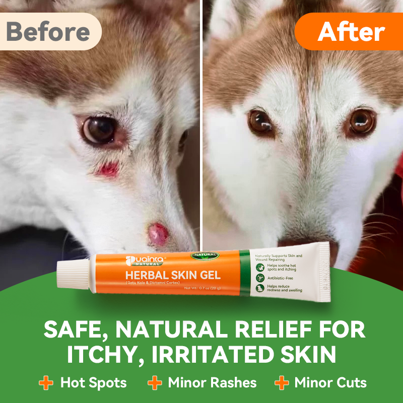 Puainta Natural Herbal Skin Gel – Soothing Itch Relief for Dogs & Cats